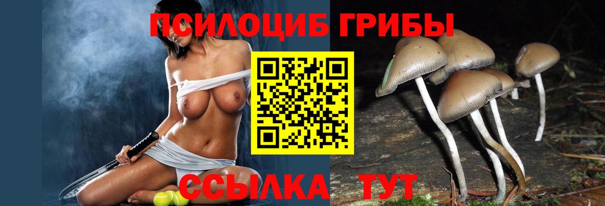 Галлюциногенные грибы Cubensis  Вход с VPN  Оренбург 