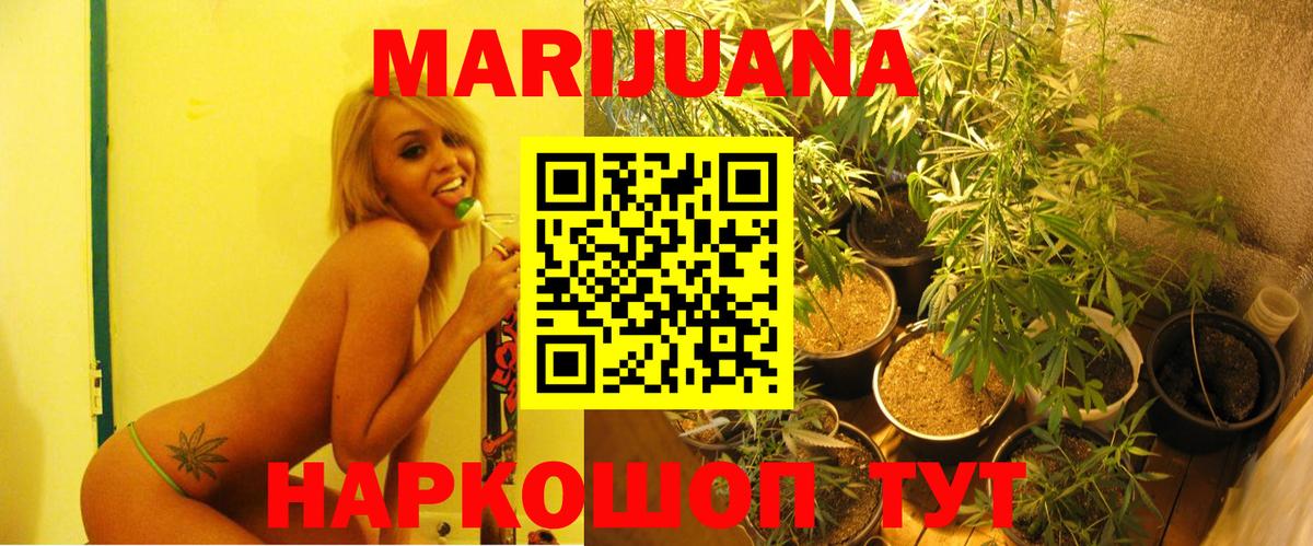 Марихуана сатива Оренбург